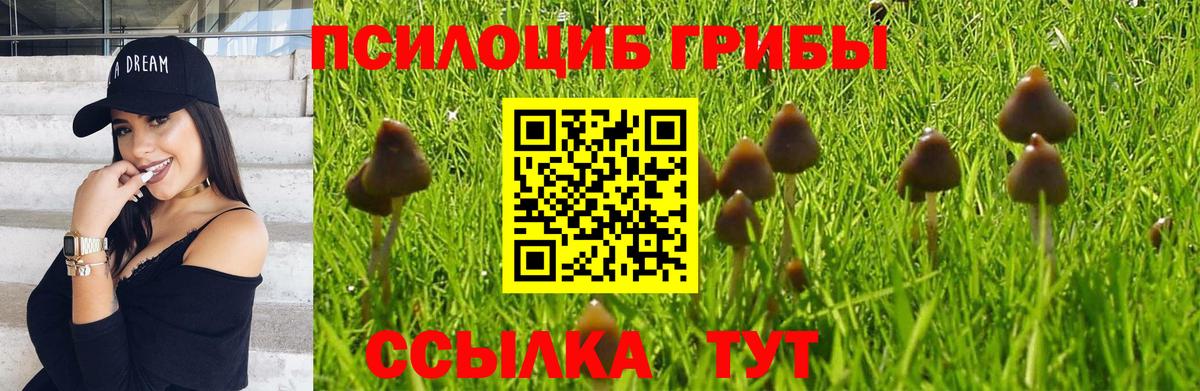 Галлюциногенные грибы ЛСД Кимовск