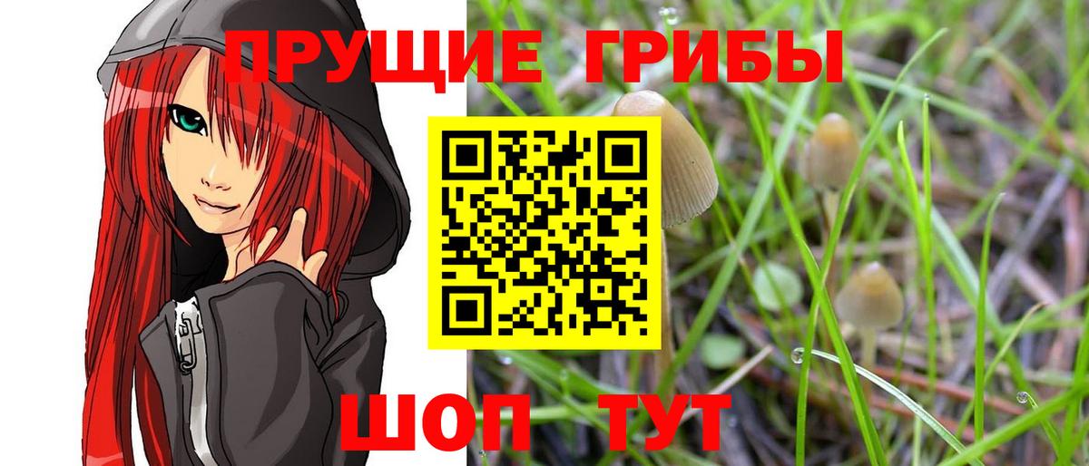 Кимовск  Галлюциногенные грибы MAGIC MUSHROOMS  Вход с VPN  Псилоцибиновые грибы Magic Shrooms 